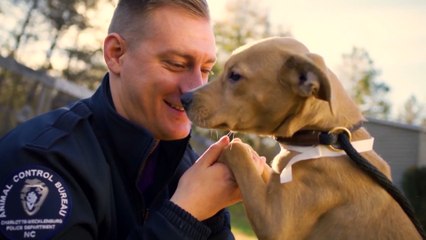 PetSmart Charities on National Adoption Days