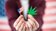 Montana Voters Vote On Legalizing Marijuana For Adults Over 21