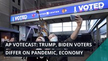 AP VoteCast: Trump, Biden voters differ on pandemic, economy, and other top stories in politics from November 04, 2020.