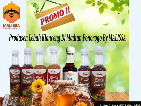 GROSIR !! WA : 0813-3211-8791 (Tsel)	Grosir Sarang Madu Hutan Di Madiun Ponorogo By MALISSA,