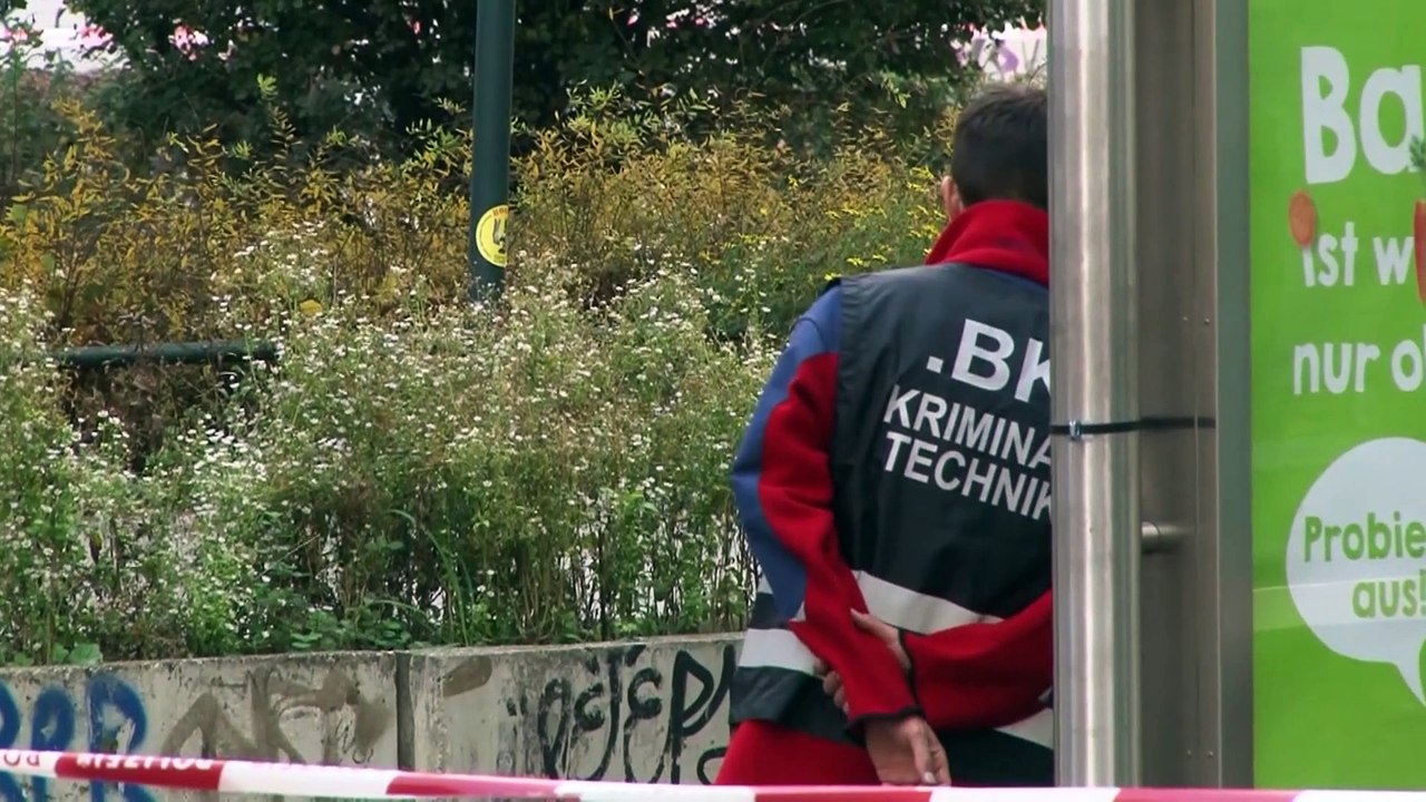 Wie konnte der Angreifer von Wien durch das Raster der Justiz fallen?