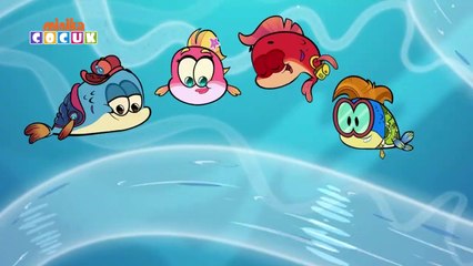 Maceracı Yüzgeçler - 2 Bölüm Bir Arada -