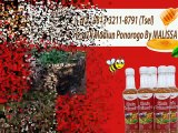 GROSIR !! WA : 0813-3211-8791 (Tsel)tProdusen Sarang Lebah Madu Asli Di Madiun Ponorogo By MALISSA,