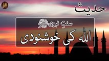 Allah Ki Khushnodi | Sunnat e nabvi | Deen Islam | Hadees