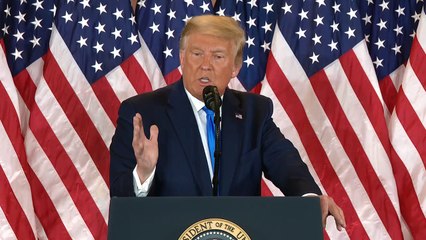 Trump will Stimmabgabe vom Supreme Court stoppen lassen