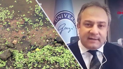 İstanbul barajlarında 'dip suyu' tehlikesi