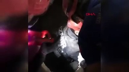 Depremden 102 saat sonra bir kedi yaralı olarak kurtarıldı