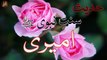 Ameeri | Sunnat e nabvi | Deen Islam | Hadees