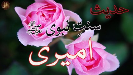 Ameeri | Sunnat e nabvi | Deen Islam | Hadees