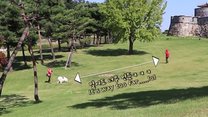 WILL MY DOG RECOGNISE ME? WALKING LIKE A STRANGE INFRONT OF MY DOG