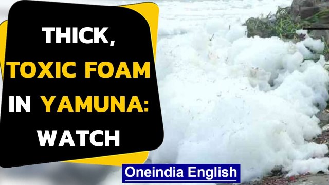 Thick, toxic foam swims on Yamuna: Know why this happens | Oneindia News