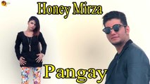 Pangay | Honey Mirza | Punjabi Bhangra Song | Pop Singer | Gaaneshaane