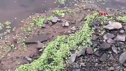 İstanbul'da tehlikenin yeni adı ''dip suyu'' ! Korkutan uyarı