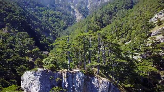 [4K UHD] Colors Of Nature Stock Footage libre de droits [4K UHD] प्रकृति रॉयल्टी फ्री स्टॉक फुटेज के रंग