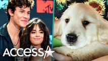 Camila Cabello & Shawn Mendes Introduce New Puppy Named Tarzan