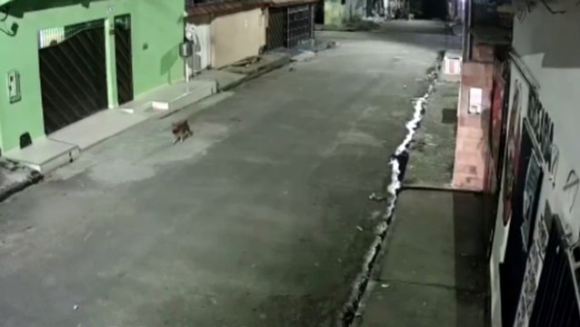 Vídeo mostra casal de bandidos atacando mulheres em rua de Manaus