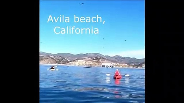 Deux kayakistes dans la gueule d'une baleine