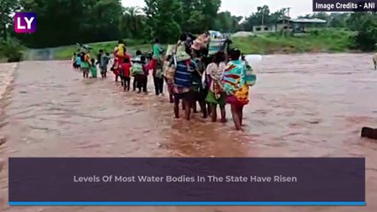Dramatic Rescue By IAF After Man Held On To Tree For 16 Hours At Bilaspur Dam In Chhattisgarh