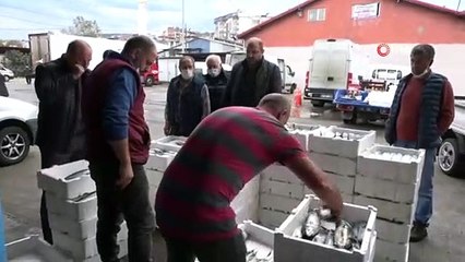 Büyük Tekneler Hamsi İçin Hopa Açıklarına Gidince Palamut Kıyı Balıkçılarına Kaldı