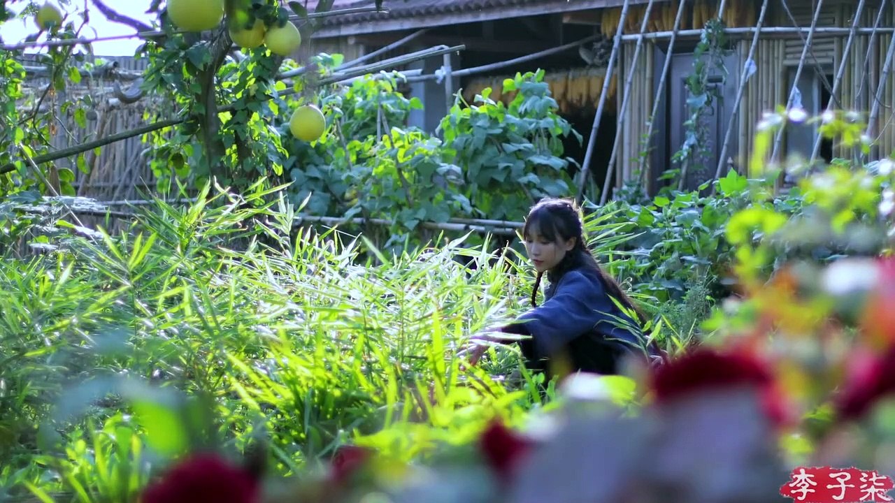 Kumiss and Roasted Whole Lamb酿一罐子马奶酒再配上滋滋冒油的烤全羊.  Liziqi Channel