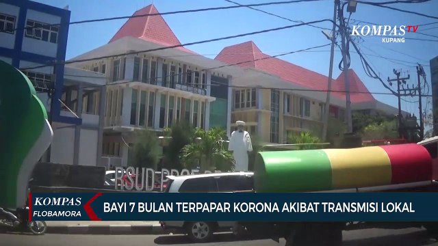 Update Corona NTT (Rabu, 04/11): Bayi 7 Bulan Terpapar Corona, 2 Pasien Meninggal Dunia