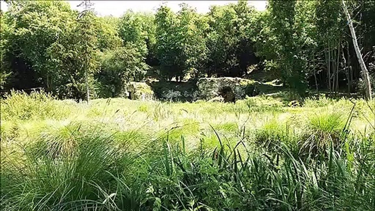 Le domaine de Méréville par Papytane