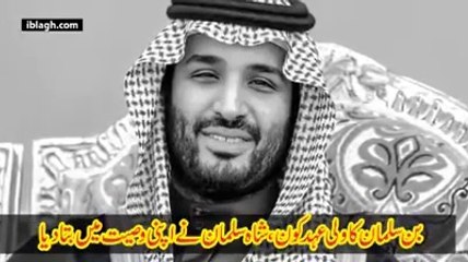 Saudi Arabia's crown prince: who is Muhammad bin Salman? | The Economist