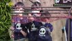 Baby Giant Panda Finally Makes Her Debut at South Korea Zoo!