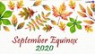 September Equinox 2020 Wishes: Happy Autumnal Equinox Quotes & Images to Welcome First Day of Fall