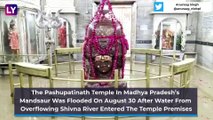 Madhya Pradesh Floods: Shivaling In Pashupatinath Temple Partially In Water, IAF Airlifts People