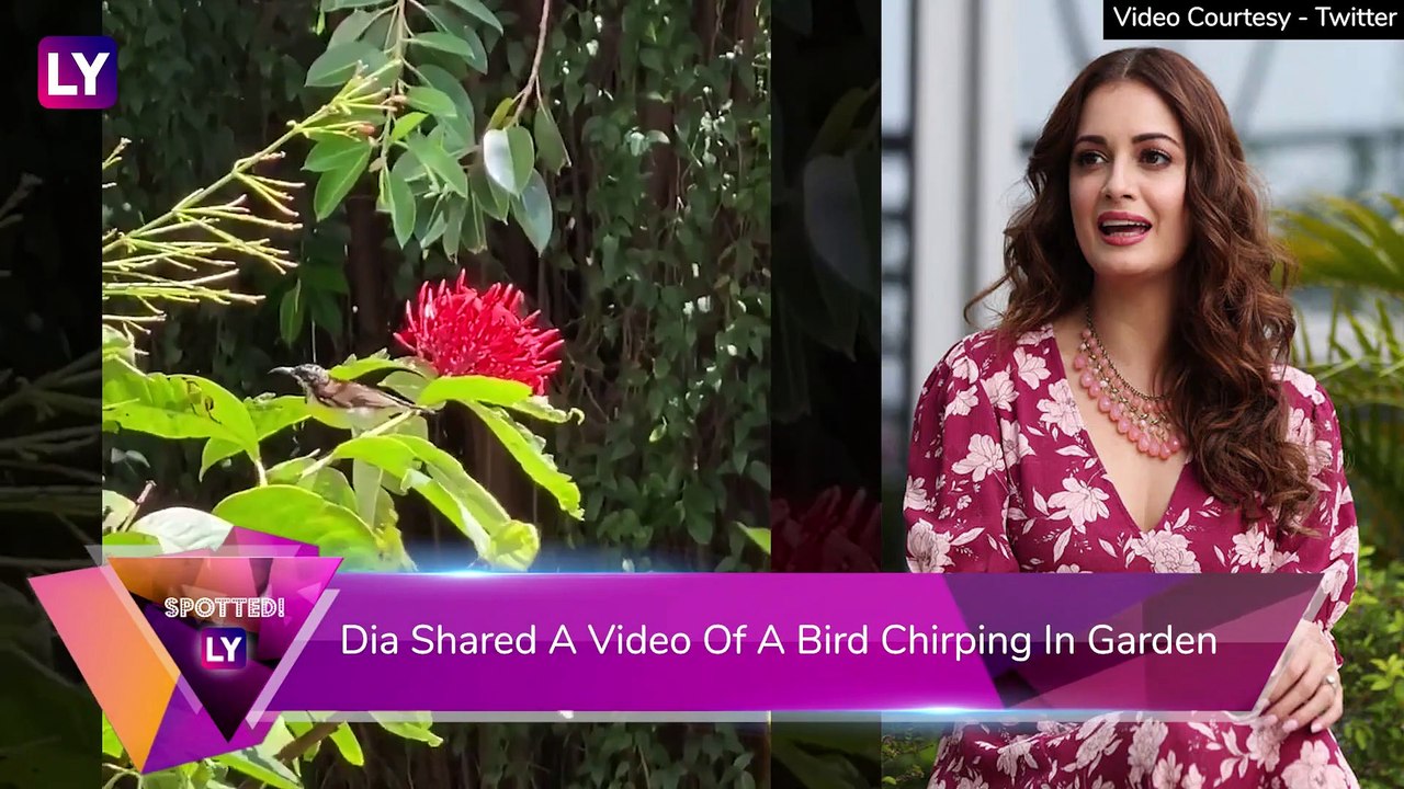 Sushant Singh Rajput Case: Forensics Rule Out Foul Play, Know Why Family Has Not Demanded CBI Probe