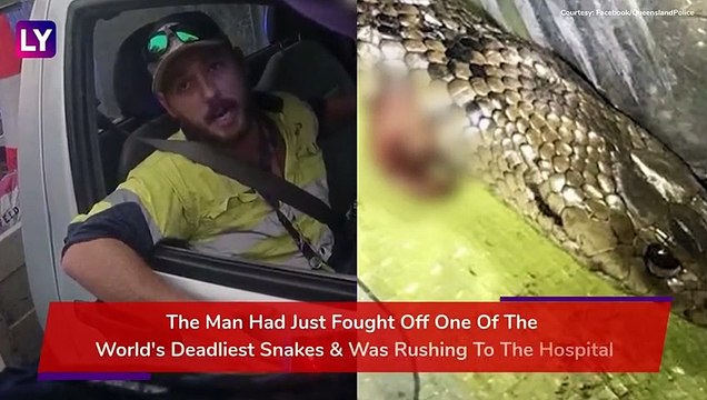 Man Fights Off Worlds Deadliest Eastern Brown Snake While Driving A Truck In Australia