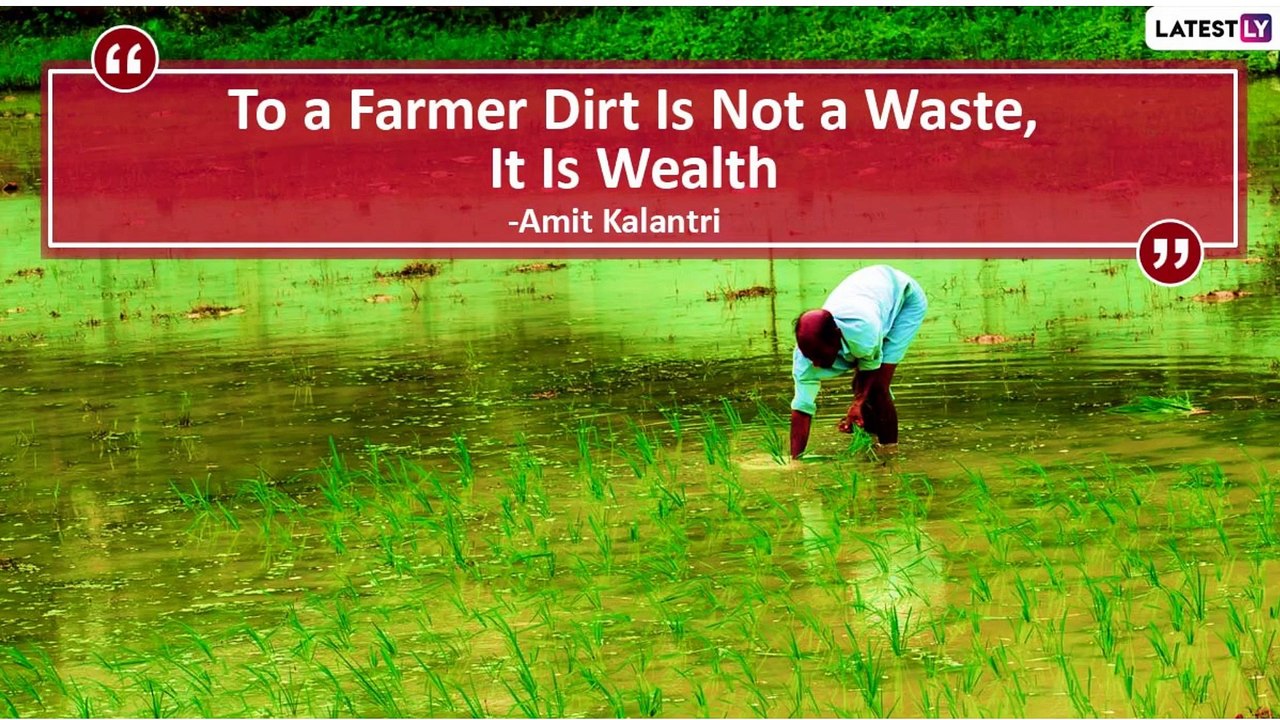 Maharashtra Krishi Din 2020: Motivating Quotes About Farmers, the Real Heroes of the Nation