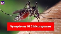 Chikungunya Symptoms: From Fever To Eye Pain, Signs Of This Mosquito-Borne Disease