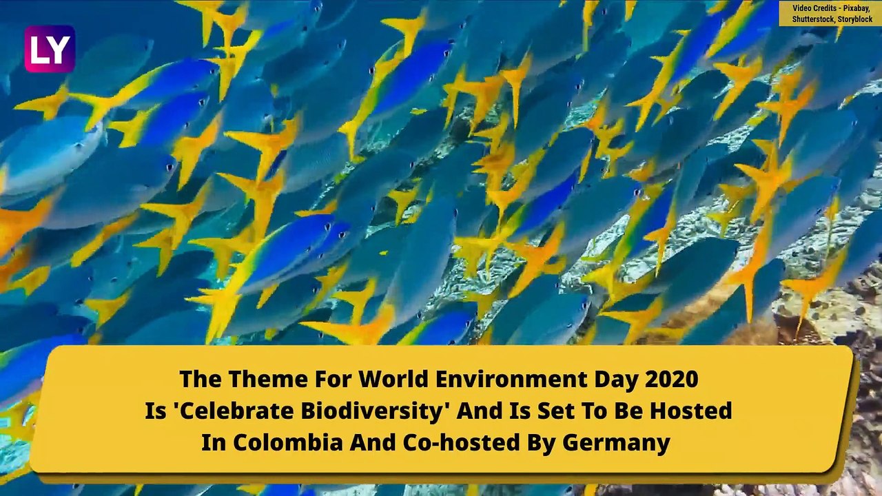 World Environment Day 2020: Weird Yet Wondrous Facts About Nature