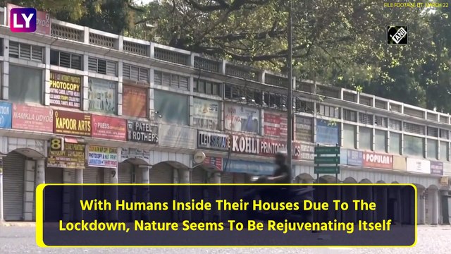 River Ganga Flows With Crystal Clear Water Near Lakshman Jhula At Rishikesh Amid The Lockdown
