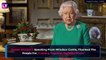 Coronavirus: Boris Johnson Hospitalised, Queen Elizabeth Gives Rare Address, US Records 9,655 Dead