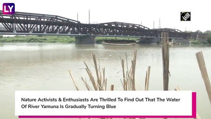 Yamuna River Water Quality Improves, Turns Blue, Looks Cleaner, Amid Coronavirus Lockdown