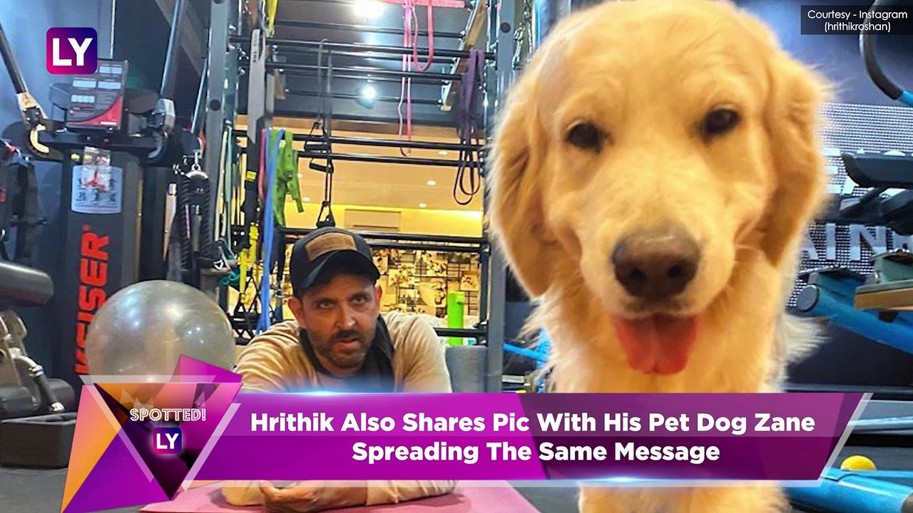 Hrithik Roshan Has A Request For Kids, Varun Dhawan, Karan Johar, Alia Bhatt Urge All To #StayHome