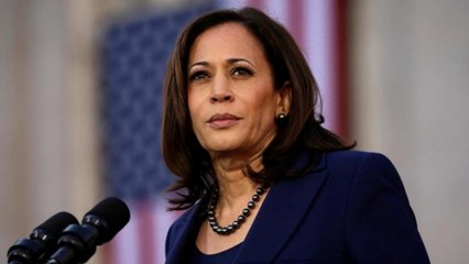 What experts say on Kamla Harris' Indian origin debate?