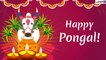 Happy Pongal 2020 Wishes: WhatsApp Messages, Greetings, Quotes and Images For Thai and Mattu Pongal