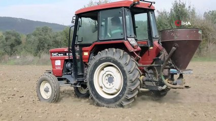 Menteşe’de ata tohumu buğdaylar toprakla buluştu