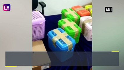 Chennai: Kangaroo Rats, Prairie Dogs & Other Reptiles Seized By Custom Officials At The Airport