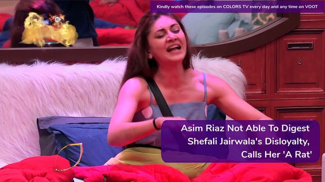 Bigg Boss 13 Episode 52 Updates| 11 Dec 2019: Sidharth & Paras Turn Bigg Boss For A Day