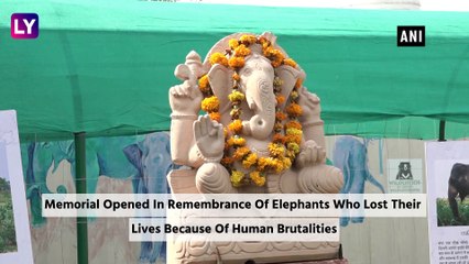 Indias First Elephant Memorial Opens Up In Mathura, Uttar Pradesh