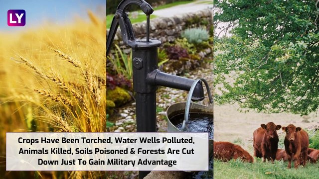 International Day For Preventing Exploitation Of Environment In War & Armed Conflict 2019