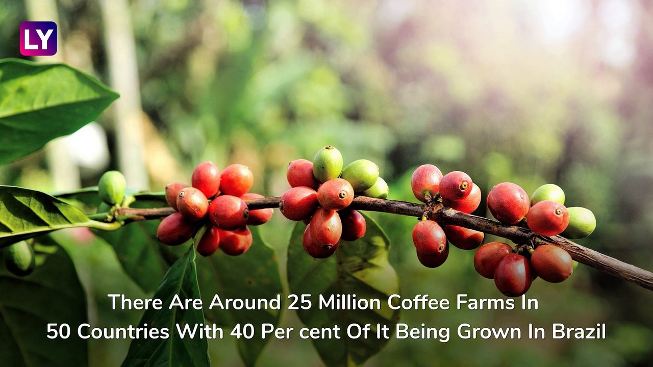 International Coffee Day 2019: Date, Significance & Things You Can Do With Coffee Than Just Drink It