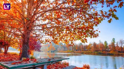 Autumnal Equinox 2019: Know The Date In India And The Speciality Of The Fall Equinox