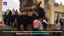Mysuru Dasara 2019: Rehearsal Of Elephants For The Parade Begins