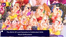 Ganesh Chaturthi 2019: Demand Soars For Different Models Of Lord Ganesha Idols In Hyderabad